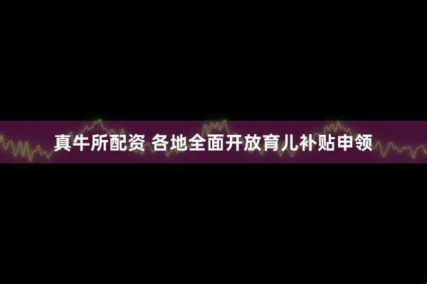 真牛所配资 各地全面开放育儿补贴申领