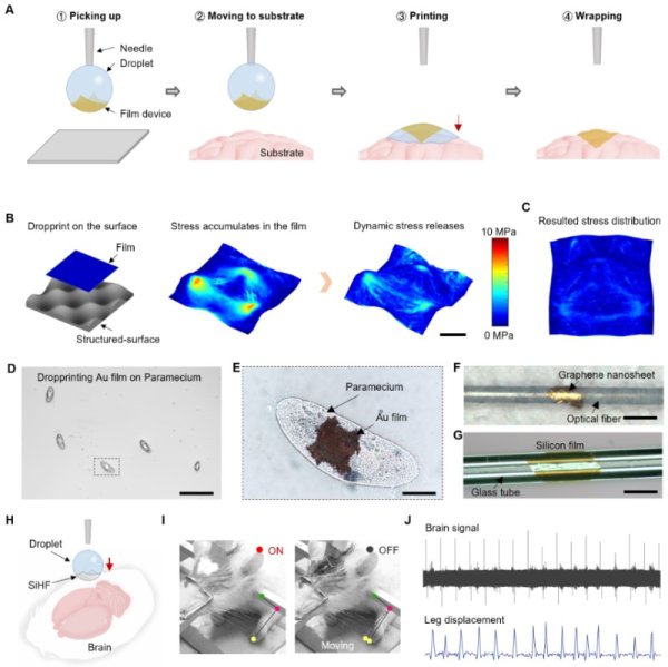 牛配资 我国科学家开发“液滴打印”新技术！